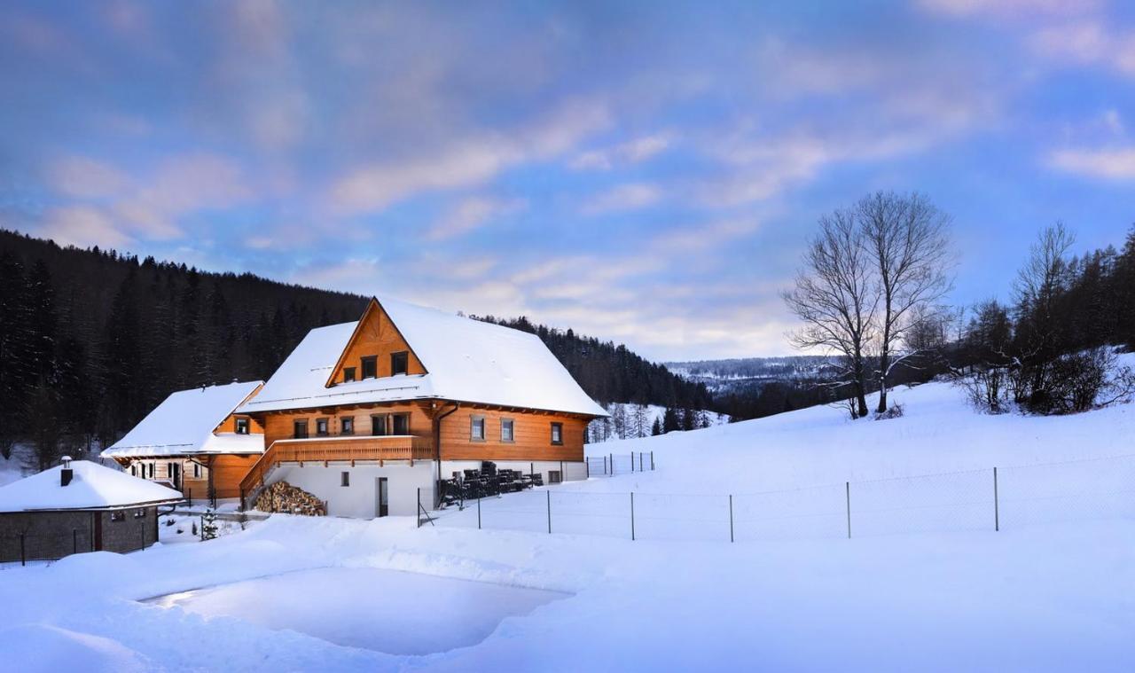 Grunik Apartment Jezersko